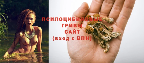 таблы Бердск