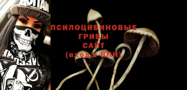 прущий лед Козловка