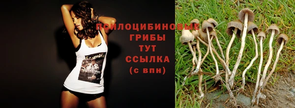 apvp Козельск