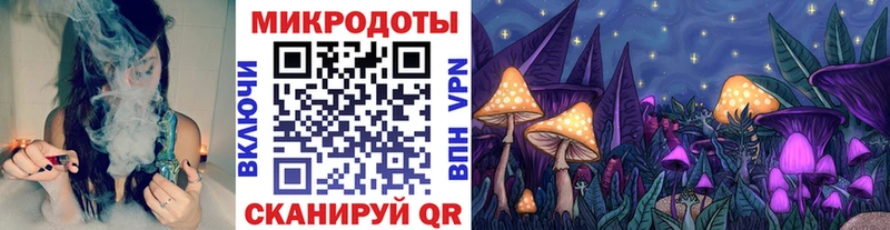 сколько стоит  Пучеж  Галлюциногенные грибы Psilocybe 